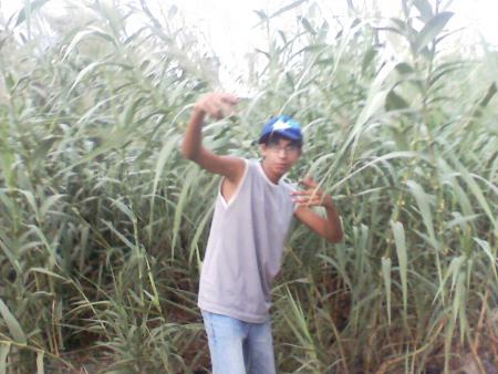 C MOI ENCOR
